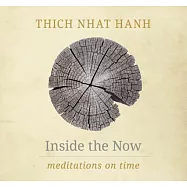 Inside the Now: Meditations on Time