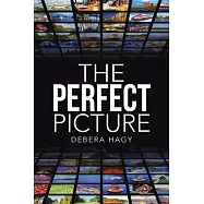 The Perfect Picture