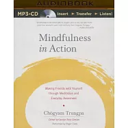 Mindfulness in Action: Making Friends with Yourself through Meditation and Everyday Awareness