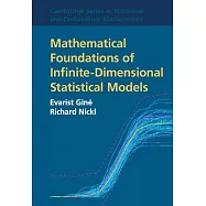 Mathematical Foundations of Infinite-Dimensional Statistical Models