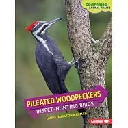 Pileated Woodpeckers: Insect-Hunting Birds