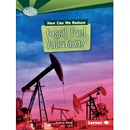 How Can We Reduce Fossil Fuel Pollution?