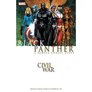 Civil War: Black Panther
