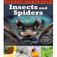 Insects and Spiders
