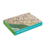 New York Times Jones Beach: 1000 Piece Puzzle