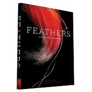 Feathers: Displays of Brilliant Plumage