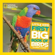 First Big Book of Birds