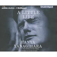 A Little Life