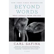 Beyond Words: What Animals Think and Feel