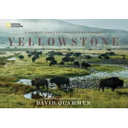 Yellowstone: A Journey Through America’s Wild Heart
