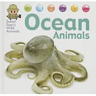 Ocean Animals