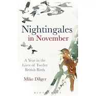 Nightingales in November: A Year in the Lives of Twelve British Birds