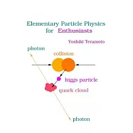 Elementary Particle Physics for Enthusiasts