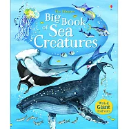 Big Book of Sea Creatures