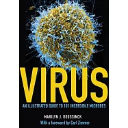 Virus: An Illustrated Guide to 101 Incredible Microbes