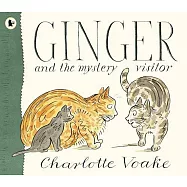 Ginger and the Mystery Visitor