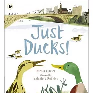 Just Ducks!