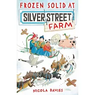 Frozen Solid at Silver Street Farm