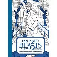 Fantastic Beasts and Where to Find Them: A Book of 20 Postcards to Colour