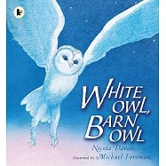 White Owl, Barn Owl