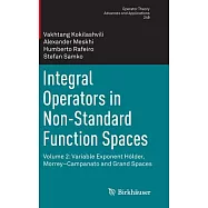 Integral Operators in Non-standard Function Spaces: Variable Exponent H&ouml;lder, Morrey&ndash;campanato and Grand Spaces