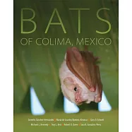 Bats of Colima, Mexico
