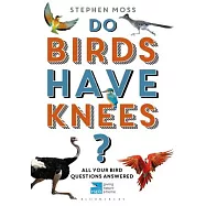 Do Birds Have Knees?