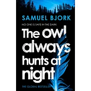 The Owl Always Hunts At Night