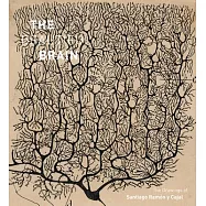 The Beautiful Brain: The Drawings of Santiago Ramon Y Cajal