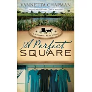 A Perfect Square: Library Edition