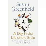 A Day in the Life of the Brain: The Neuroscience of Consciousness from Dawn Till Dusk
