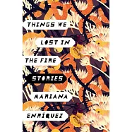 Things We Lost in the Fire: Stories