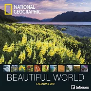 NG Beautiful World