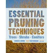 Essential Pruning Techniques: Trees, Shrubs, and Conifers