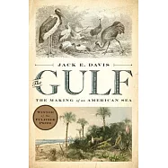 The Gulf: The Making of an American Sea