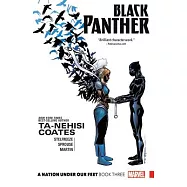 Black Panther 3: A Nation Under Our Feet