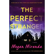 The Perfect Stranger