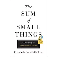 The Sum of Small Things: A Theory of the Aspirational Class