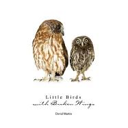 Little Bird With Broken Wings