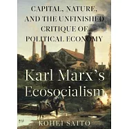 Karl Marx’s Ecosocialism: Capital, Nature, and the Unfinished Critique of Political Economy