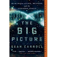 The Big Picture: On the Origins of Life, Meaning, and the Universe Itself