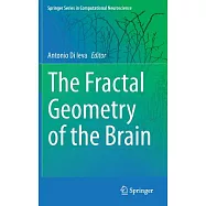 The Fractal Geometry of the Brain