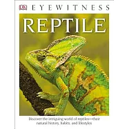 Reptile