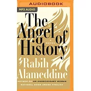 The Angel of History