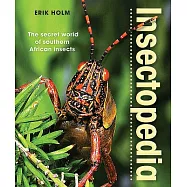 Insectopedia: The Secret World of Southern African Insects