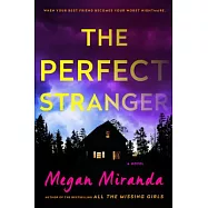 The Perfect Stranger