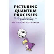 Picturing Quantum Processes