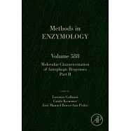 Molecular Characterization of Autophagic Responses Part B