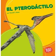 El pterodáctilo / Pterodactyl