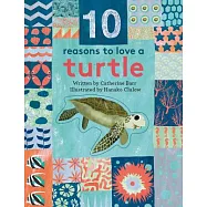 10 Reasons to Love A Turtle